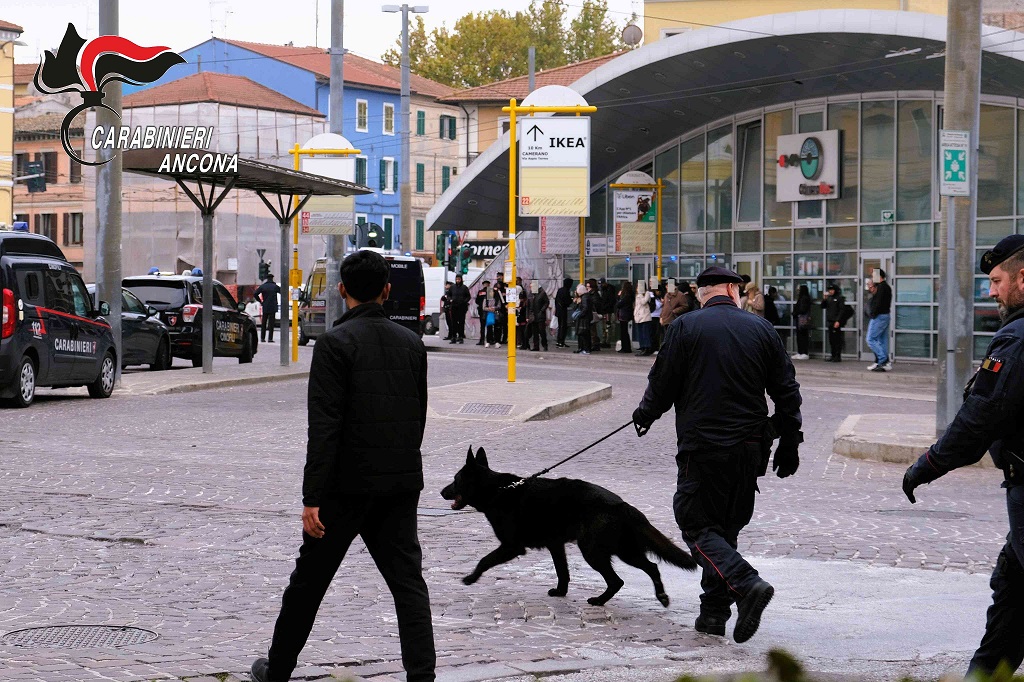 Ancona - Piano San Lazzaro, arrestato dai Carabinieri un ladro seriale